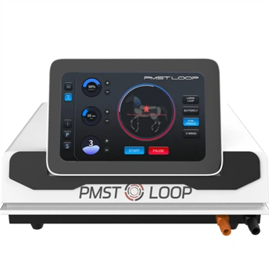 สัตว์แพทย์บำบัดสนามแม่เหล็กไฟฟ้าพัลส์